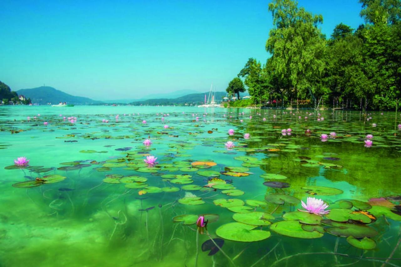 Studios Klagenfurt Klagenfurt am Woerthersee Eksteriør bilde